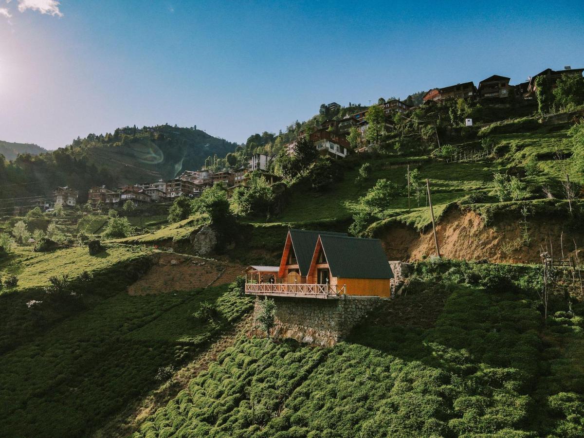 Purkinora Bungalov Çamlıhemşin Exterior foto