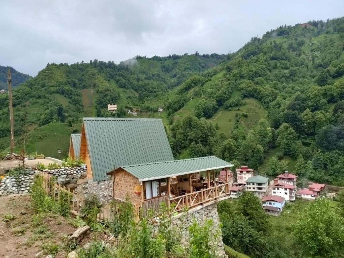 Purkinora Bungalov Çamlıhemşin Exterior foto