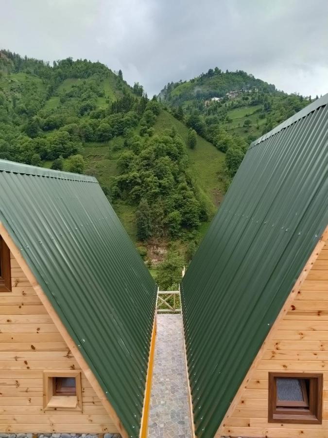 Purkinora Bungalov Çamlıhemşin Exterior foto