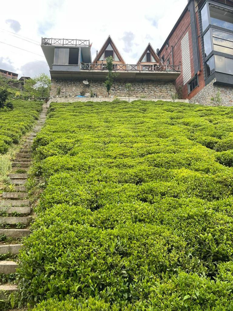 Purkinora Bungalov Çamlıhemşin Exterior foto