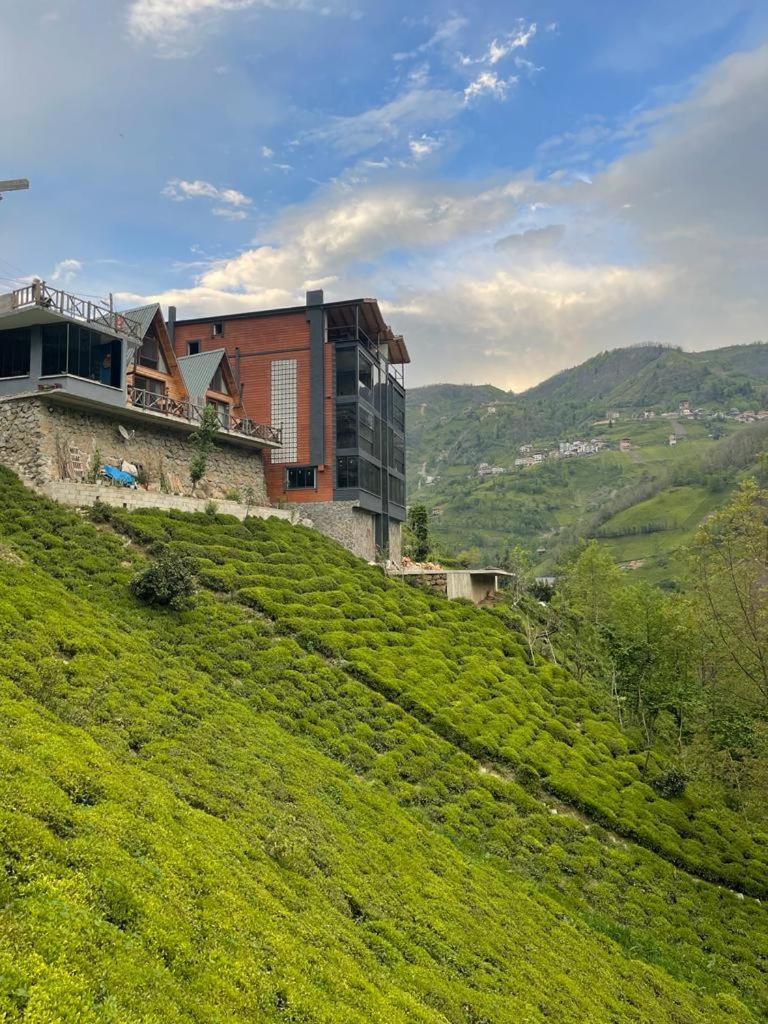 Purkinora Bungalov Çamlıhemşin Exterior foto