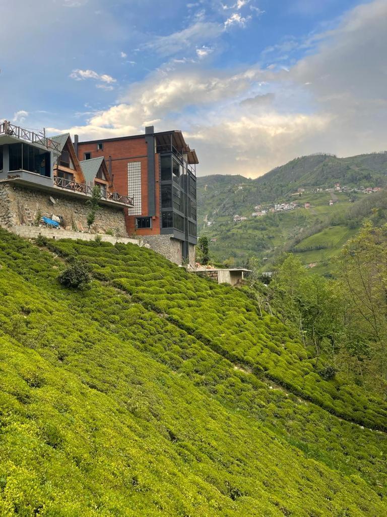Purkinora Bungalov Çamlıhemşin Exterior foto