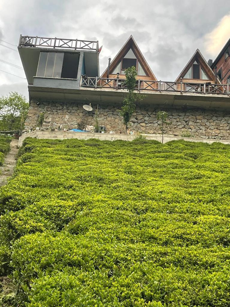 Purkinora Bungalov Çamlıhemşin Exterior foto